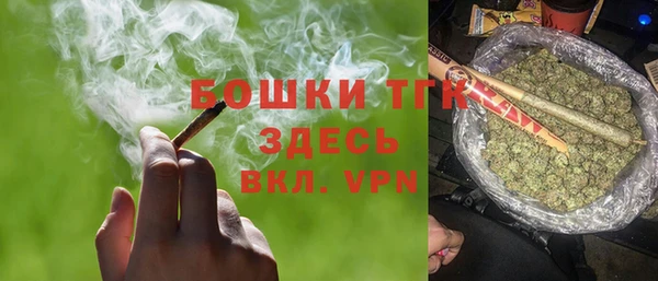 СК Козельск