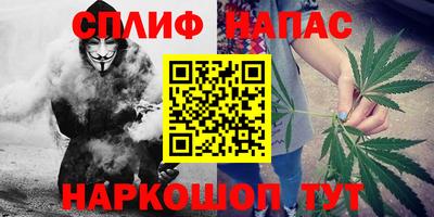 гидра Моздок