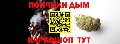 сатива Можга