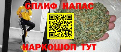 гидра Моздок