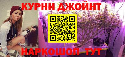 сатива Можга
