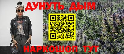 гидра Моздок
