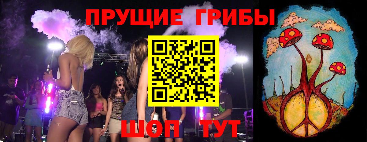 Псилоцибиновые грибы Psilocybe Тихорецк