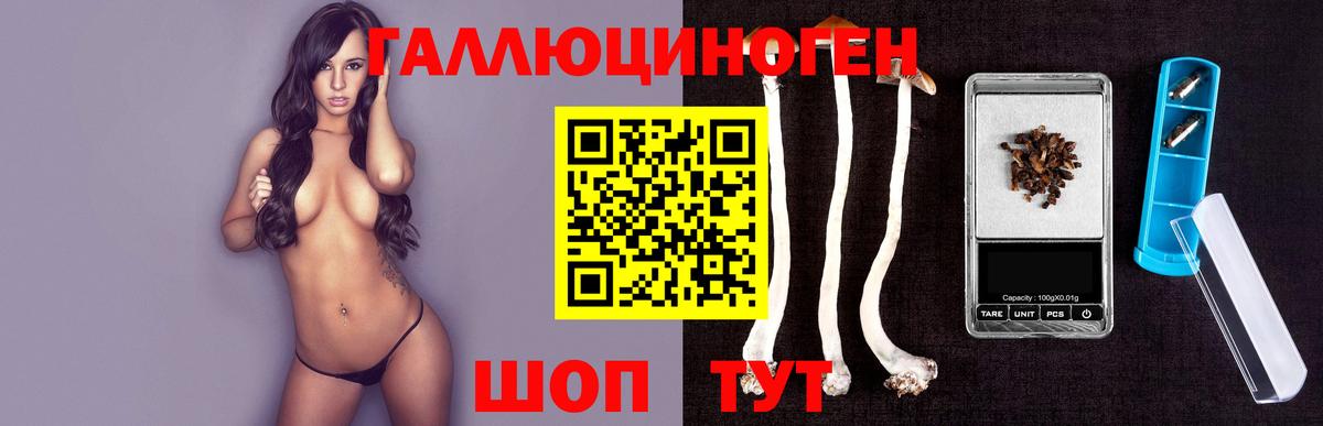 Тихорецк  Галлюциногенные грибы ЛСД  Вход с VPN 